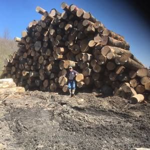 Meet your Posher, Timothy